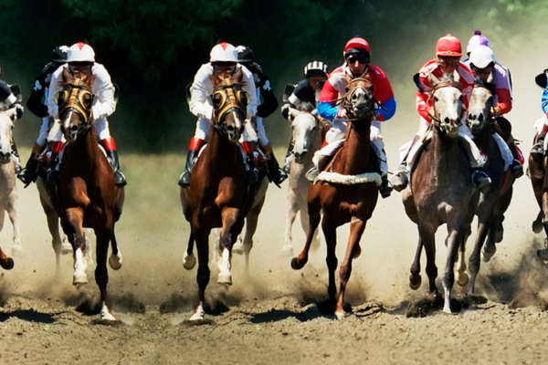 Canterbury Live Horse Racing