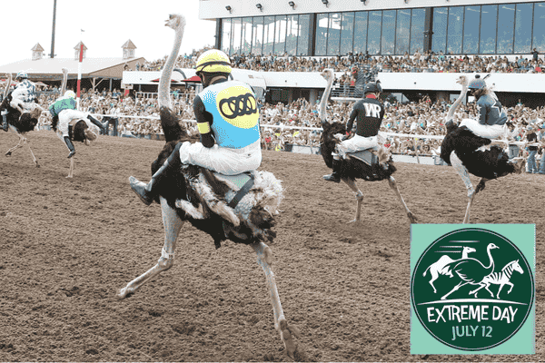 Canterbury Park Extreme Race Day