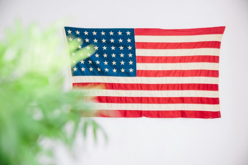 Close-up of the American flag partially obscured by a green plant against a white background.