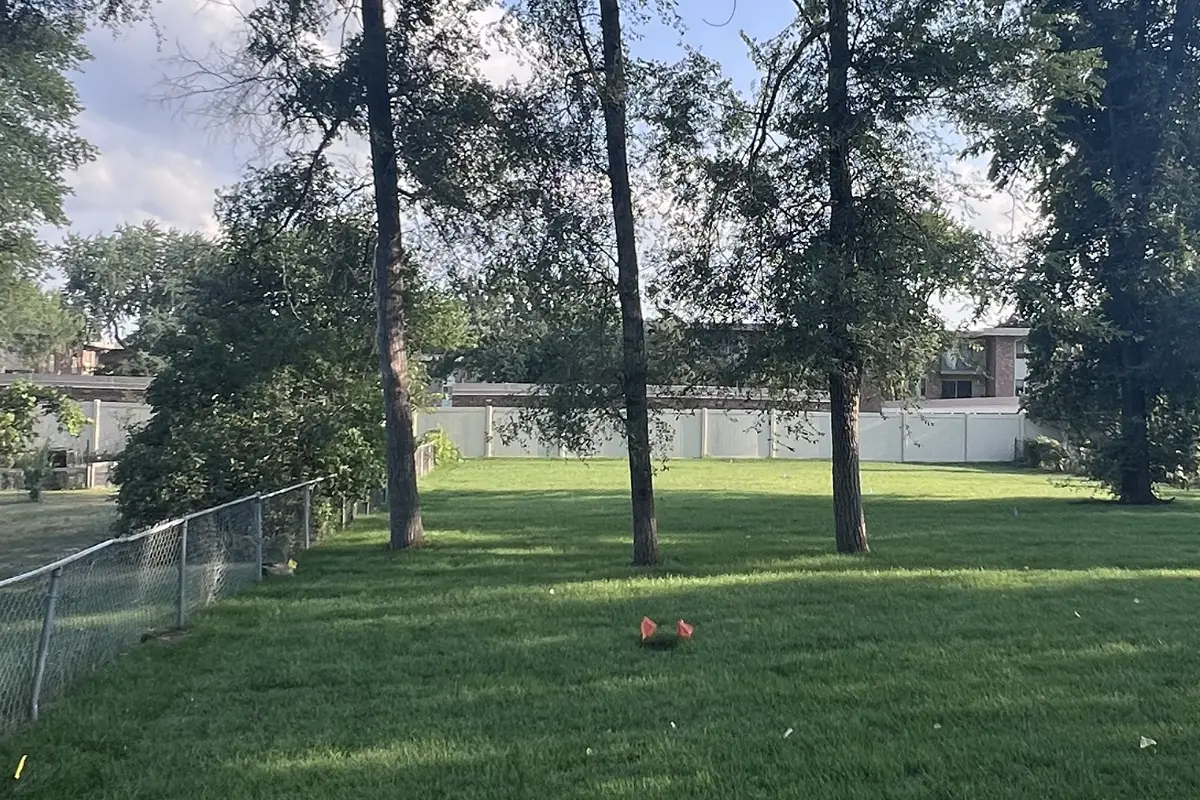 The Northstar 21 Backyard has mature trees and plenty of room for outdoor activities